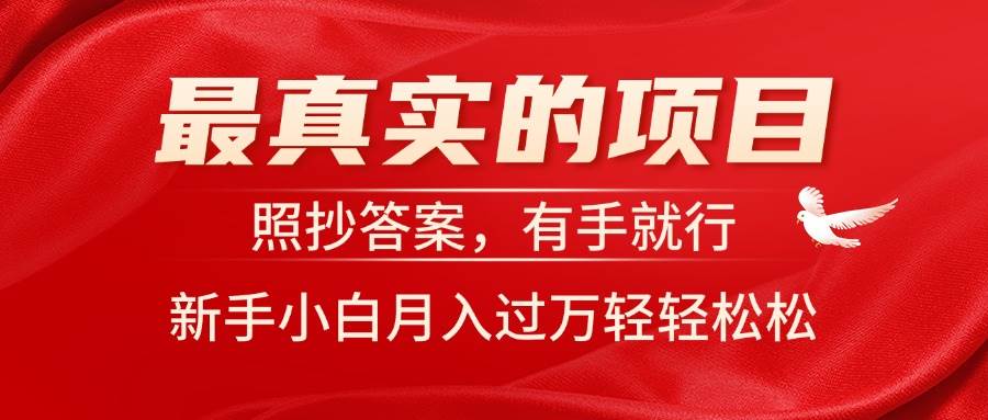 最真实的项目，照抄答案，有手就行，新手小白月入过万轻轻松松-廉价云资源网