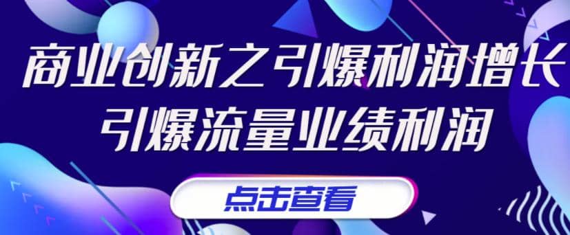 《商业创新之引爆利润增长》引爆流量业绩利润-廉价云资源网
