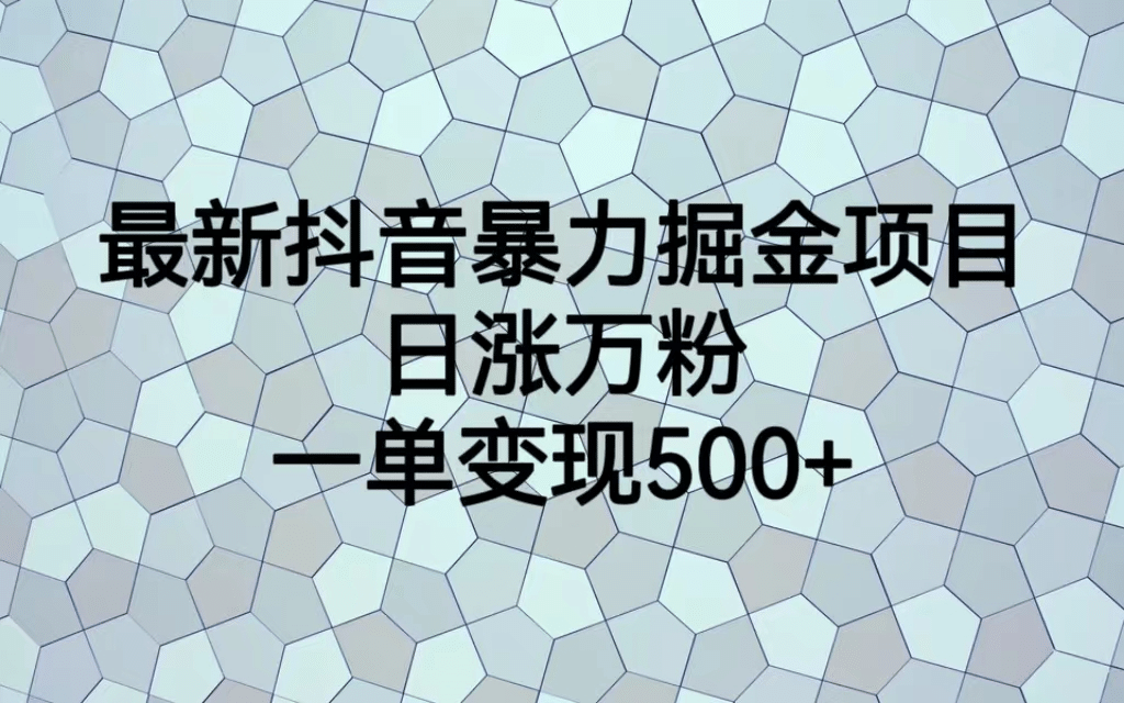 最火热的抖音暴力掘金项目，日涨万粉，多种变现方式，一单变现可达500+-廉价云资源网