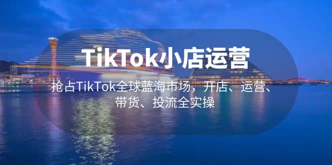 TikTok小店运营 抢占TikTok全球蓝海市场，开店、运营、带货、投流全实操-廉价云资源网