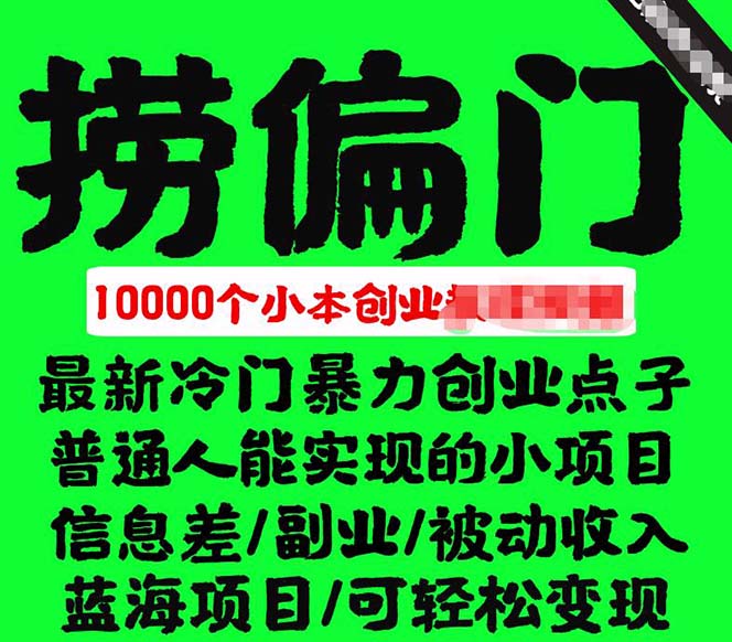 千款捞偏门小本创业小项目，总有一款适合你【无水印】-廉价云资源网