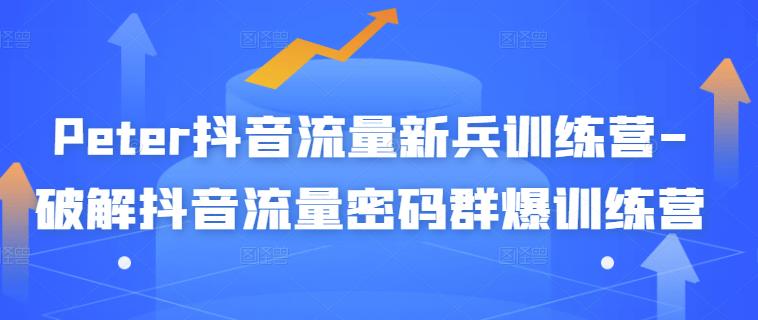 Peter抖音流量新兵训练营-破解抖音流量密码群爆训练营（新兵）-廉价云资源网