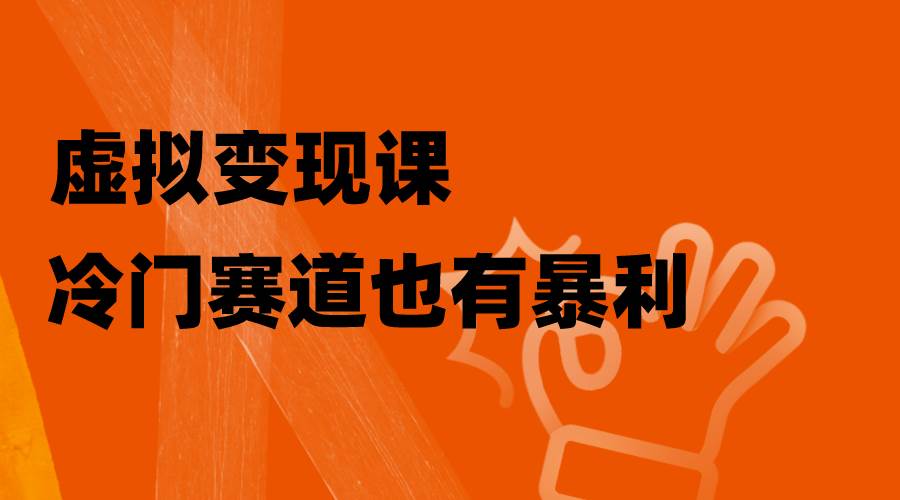 虚拟变现课，冷门赛道也有暴利，手把手教你玩转冷门私域-廉价云资源网