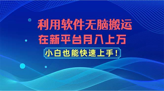 利用软件无脑搬运，在新平台月入上万，小白也能快速上手-廉价云资源网