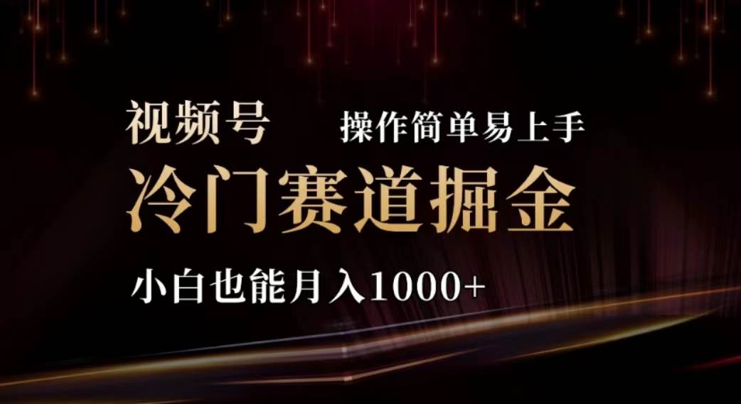 2024视频号冷门赛道掘金，操作简单轻松上手，小白也能月入1000+-廉价云资源网