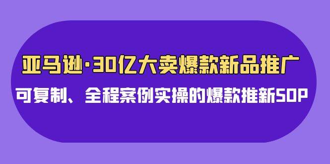 亚马逊30亿·大卖爆款新品推广，可复制、全程案例实操的爆款推新SOP-廉价云资源网