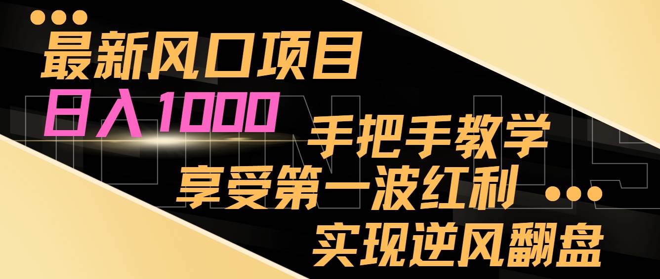 最新风口项目，日入过千，抓住当下风口，享受第一波红利，实现逆风翻盘-廉价云资源网