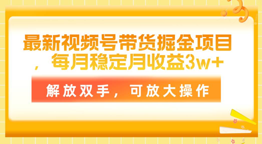 最新视频号带货掘金项目，每月稳定月收益3w+，解放双手，可放大操作-廉价云资源网