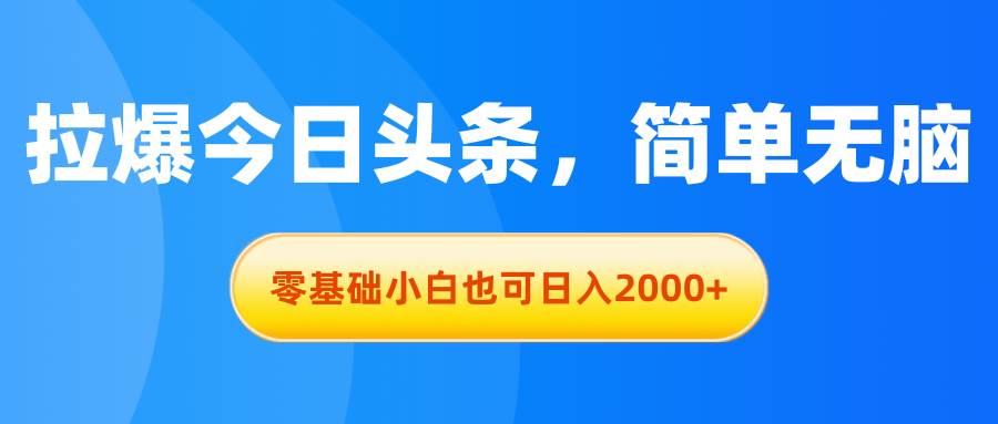 拉爆今日头条，简单无脑，零基础小白也可日入2000+-廉价云资源网