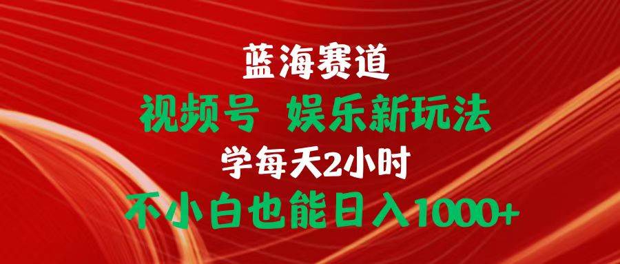 蓝海赛道视频号 娱乐新玩法每天2小时小白也能日入1000+-廉价云资源网