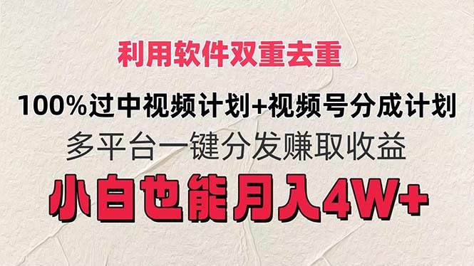 利用软件双重去重，100%过中视频+视频号分成计划小白也可以月入4W+-廉价云资源网