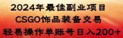 2024年最佳副业项目 CSGO饰品装备交易 轻易操作单账号日入200+-廉价云资源网