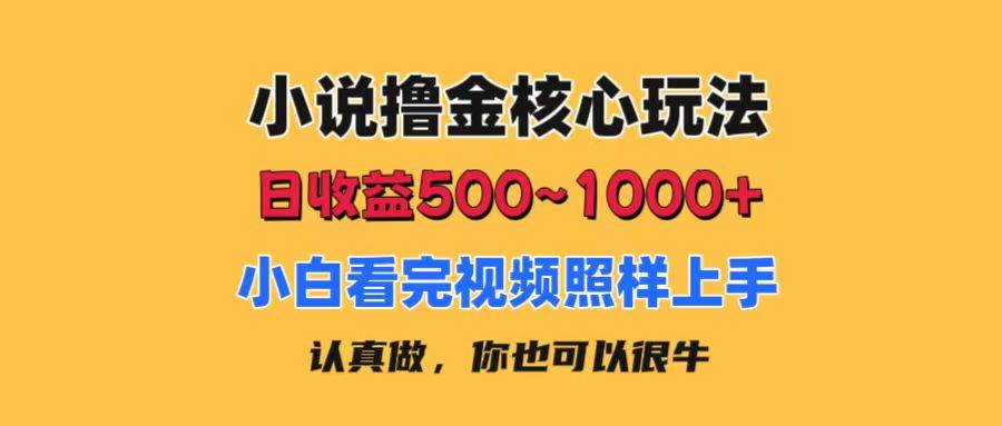 小说撸金核心玩法，日收益500-1000+，小白看完照样上手，0成本有手就行-廉价云资源网