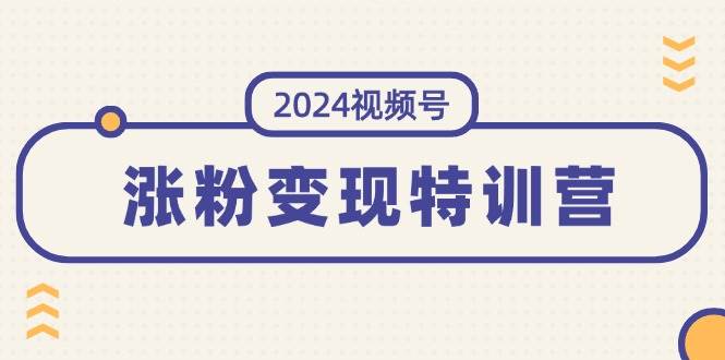 2024视频号-涨粉变现特训营：一站式打造稳定视频号涨粉变现模式（10节）-廉价云资源网