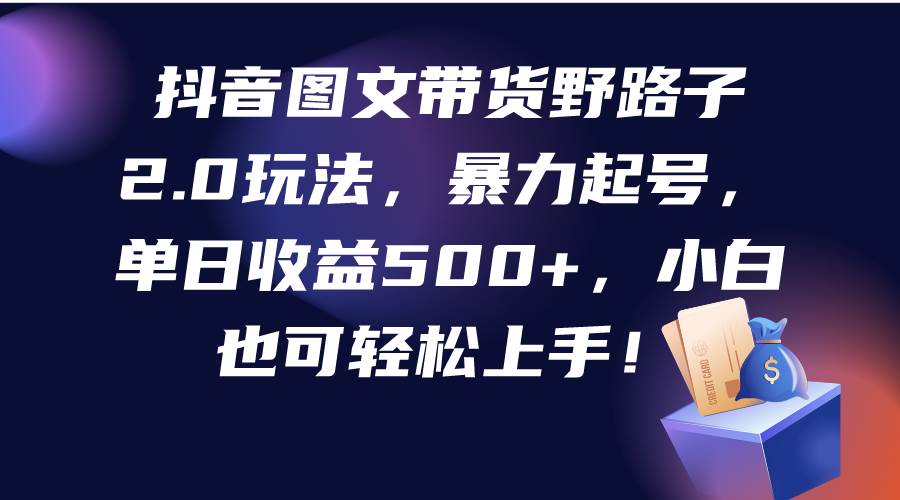 抖音图文带货野路子2.0玩法，暴力起号，单日收益500+，小白也可轻松上手！-廉价云资源网