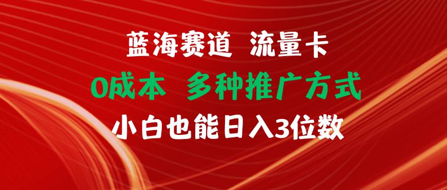 蓝海赛道 流量卡 0成本 小白也能日入三位数-廉价云资源网