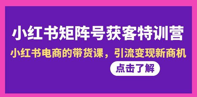 小红书-矩阵号获客特训营-第10期，小红书电商的带货课，引流变现新商机-廉价云资源网