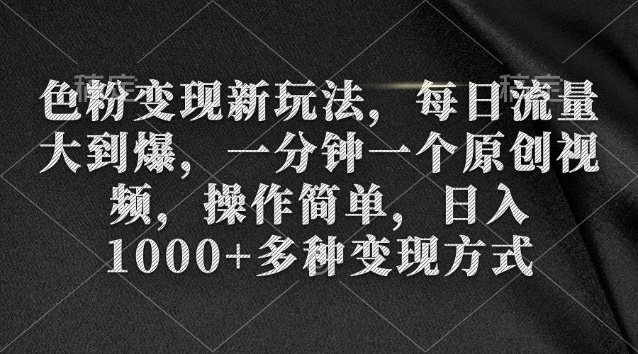 色粉变现新玩法，每日流量大到爆，一分钟一个原创视频，操作简单，日入1000+-廉价云资源网