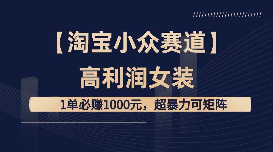 【淘宝小众赛道】高利润女装：1单必赚1000元，超暴力可矩阵-廉价云资源网
