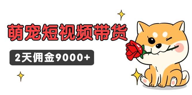 东哲日记·萌宠短视频带货，2天佣金9000+-廉价云资源网