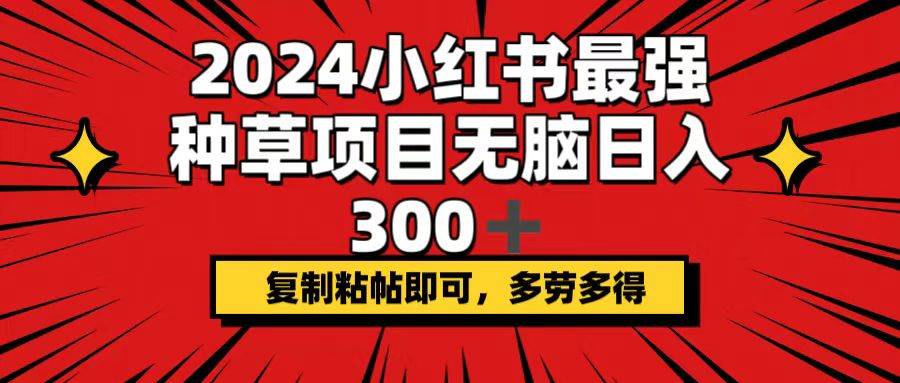 2024小红书最强种草项目，无脑日入300+，复制粘帖即可，多劳多得-廉价云资源网