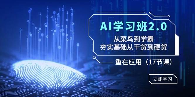 AI学习班2.0：从菜鸟到学霸，夯实基础从干货到硬货，重在应用（17节课）-廉价云资源网
