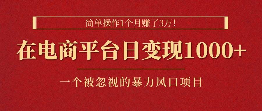 简单操作1个月赚了3万！在电商平台日变现1000+！一个被忽视的暴力风口…-廉价云资源网