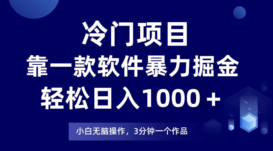 冷门项目，靠一款软件暴力掘金日入1000＋，小白轻松上手第二天见收益-廉价云资源网