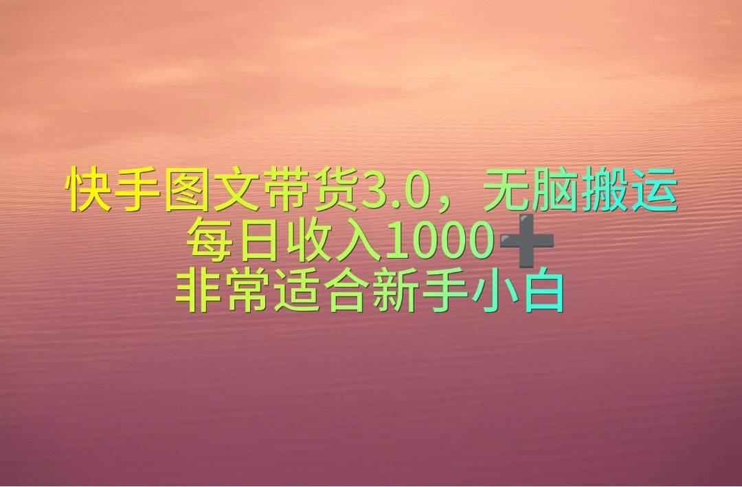 快手图文带货3.0，无脑搬运，每日收入1000＋，非常适合新手小白-廉价云资源网