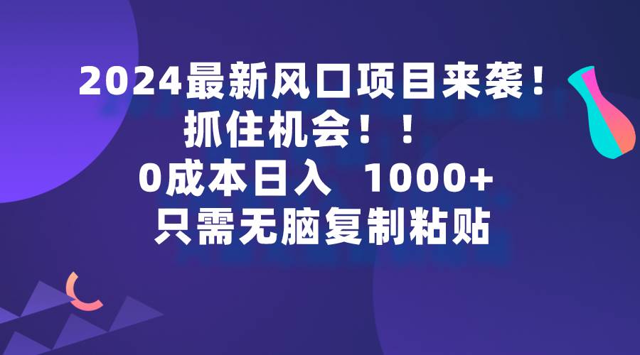 2024最新风口项目来袭,抓住机会,0成本一部手机日入1000+,只需无脑复…-廉价云资源网