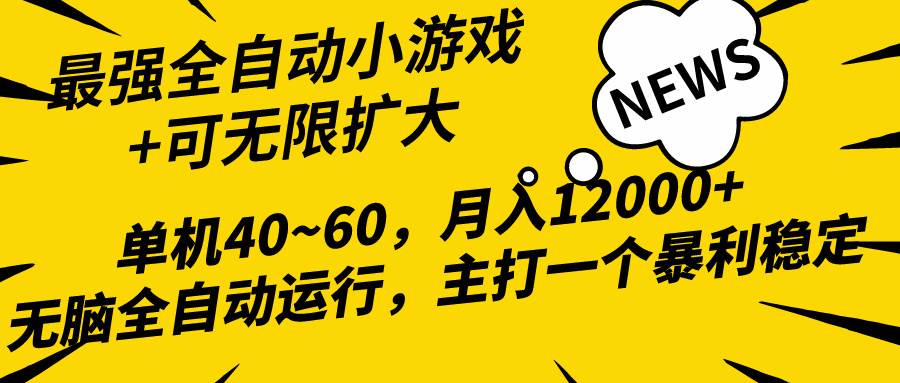 2024最新全网独家小游戏全自动，单机40~60,稳定躺赚，小白都能月入过万-廉价云资源网