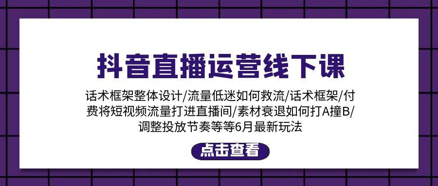 抖音直播运营线下课：话术框架/付费流量直播间/素材A撞B/等6月新玩法-廉价云资源网