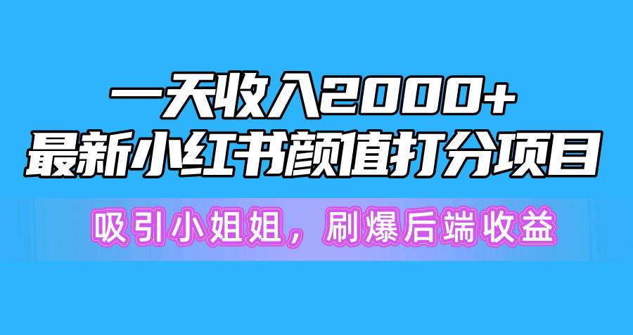 一天收入2000+，最新小红书颜值打分项目，吸引小姐姐，刷爆后端收益-廉价云资源网