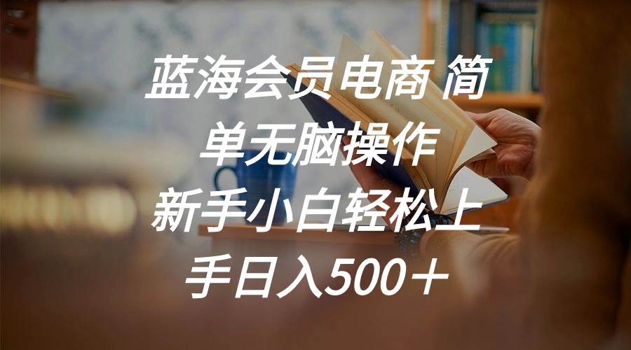 蓝海会员电商 简单无脑操作 新手小白轻松上手日入500＋-廉价云资源网