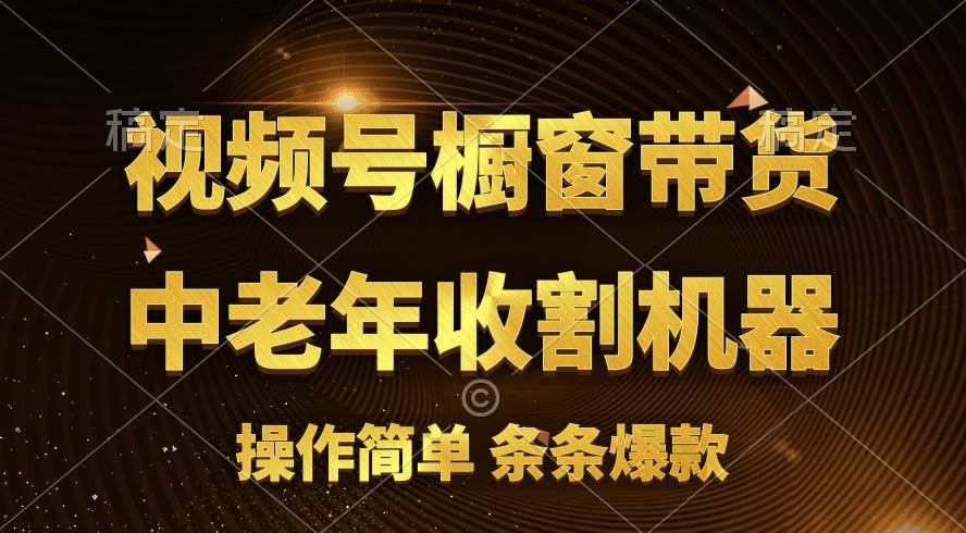 [你的孩子成功取得高位]视频号最火爆赛道，橱窗带货，流量分成计划，条…-廉价云资源网