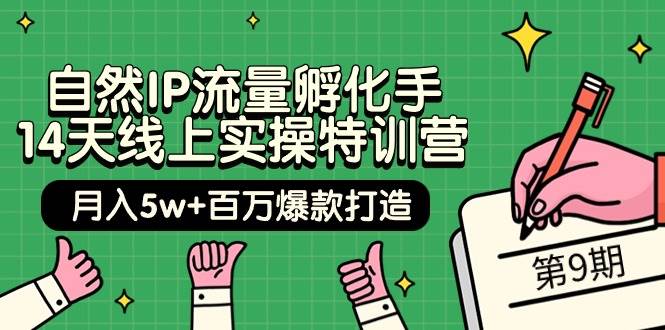 自然IP流量孵化手 14天线上实操特训营【第9期】月入5w+百万爆款打造 (74节)-廉价云资源网