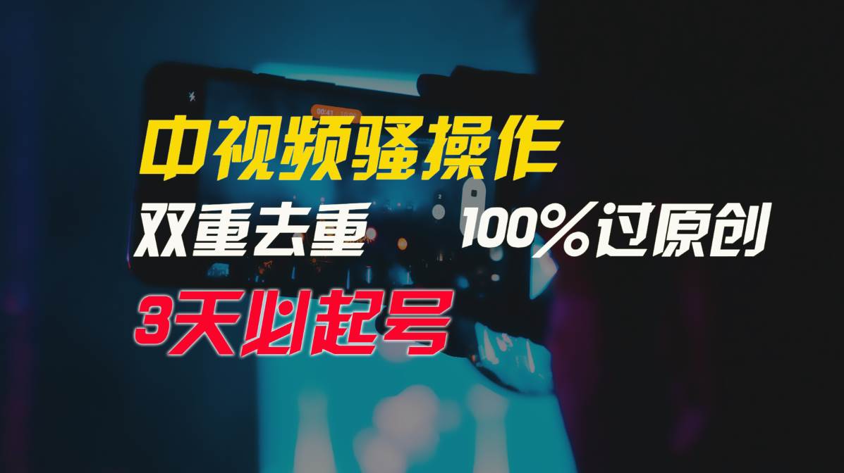 中视频骚操作，双重去重100%过原创，3天比必起号，简单无脑，月入3W+-廉价云资源网