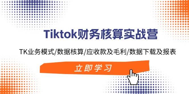 Tiktok财务核算实战营：TK业务模式/数据核算/应收款及毛利/数据下载及报表-廉价云资源网