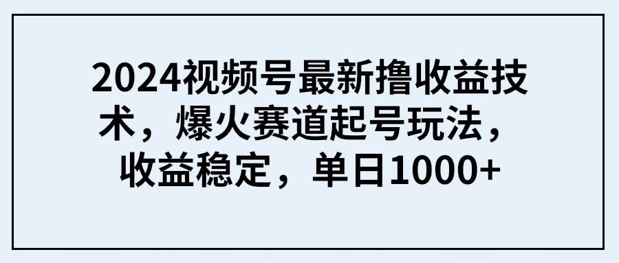 2024视频号最新撸收益技术，爆火赛道起号玩法，收益稳定，单日1000+-廉价云资源网