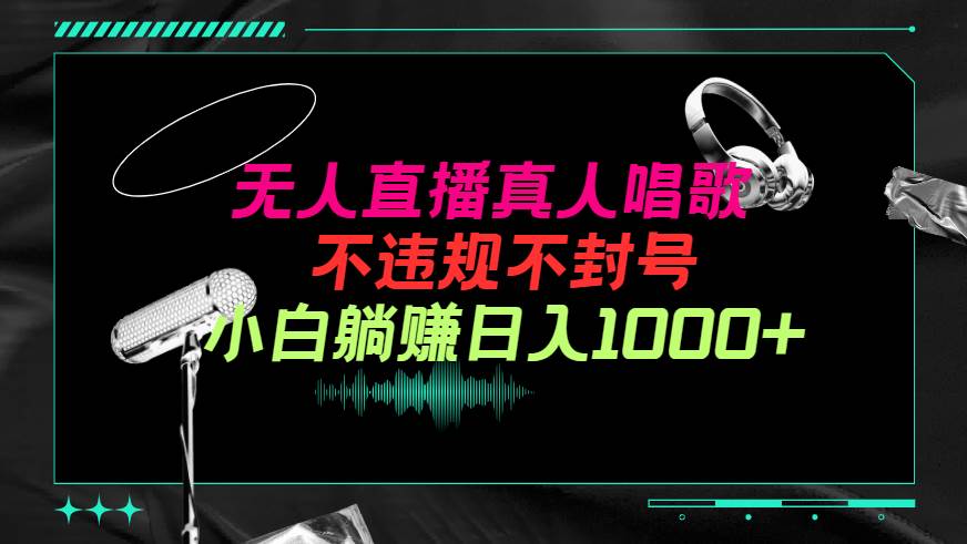 抖音24小时无人直播音乐，不违规，不封号纯撸音浪，小白实操当天日入1000+-廉价云资源网
