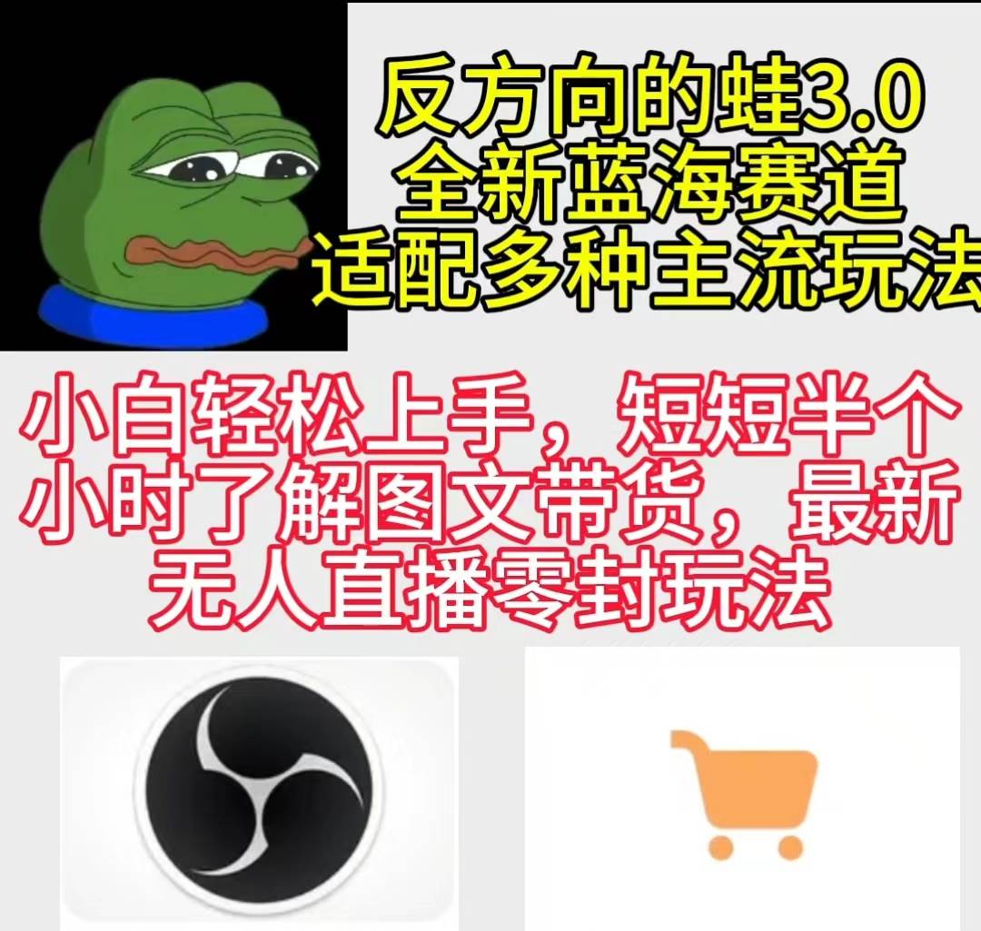 反方向的蛙3.0，图文最新玩法，变现多元化，新蓝海项目，小白轻松上手-廉价云资源网
