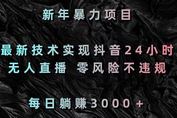 新年暴力项目，最新技术实现抖音24小时无人直播 零风险不违规 每日躺赚3000-廉价云资源网