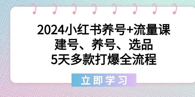 2024小红书养号+流量课：建号、养号、选品，5天多款打爆全流程-廉价云资源网