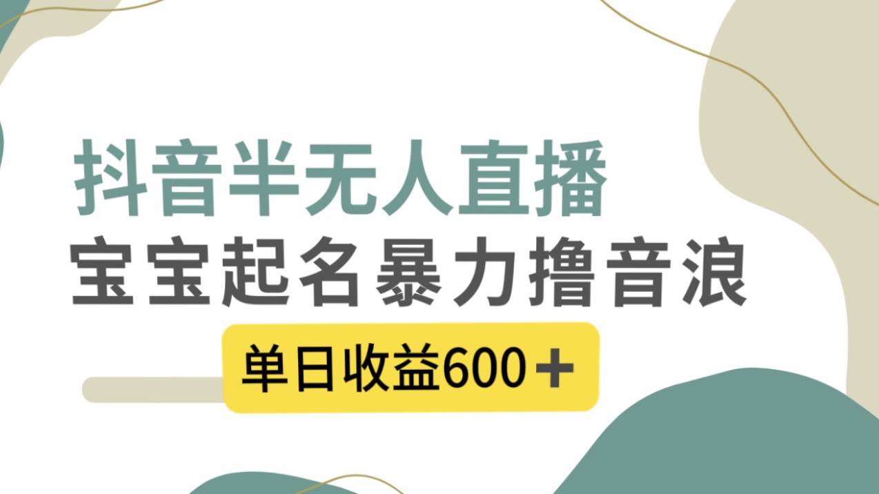 抖音半无人直播，宝宝起名，暴力撸音浪，单日收益600+-廉价云资源网