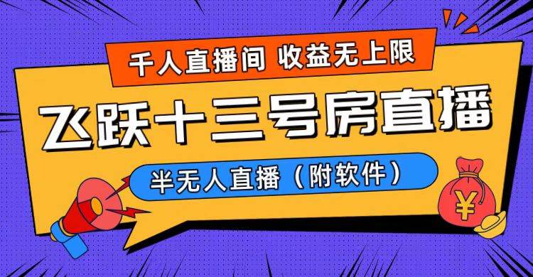 爆火飞跃十三号房半无人直播，一场直播上千人，日入过万！（附软件）-廉价云资源网