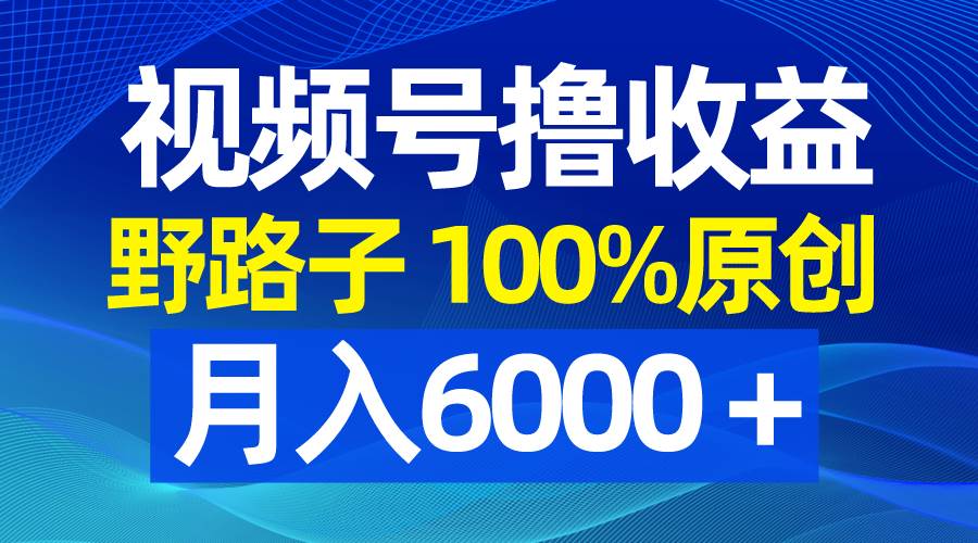 视频号野路子撸收益，100%原创，条条爆款，月入6000＋-廉价云资源网