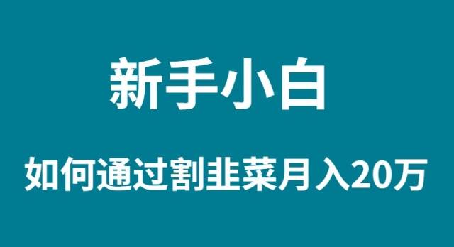 新手小白如何通过割韭菜月入 20W-廉价云资源网