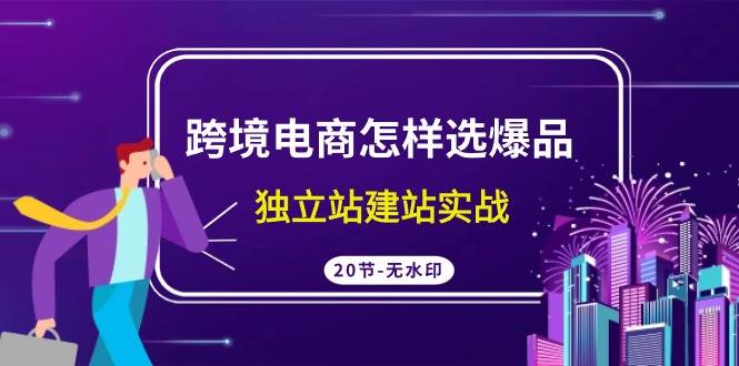 跨境电商怎样选爆品，独立站建站实战（20节高清无水印课）-廉价云资源网