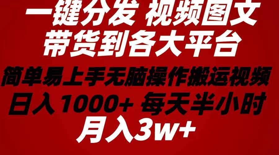 2024年 一键分发带货图文视频  简单易上手 无脑赚收益 每天半小时日入1…-廉价云资源网
