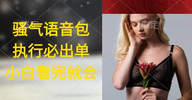 执行就出单，日入2000+，超火骚气语音包，小白看完课程就能马上实操-廉价云资源网